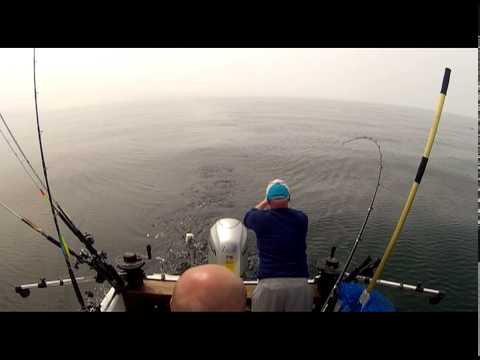 download lagu mp3 mp4 Zillaf, download lagu Zillaf gratis, unduh video klip Zillaf