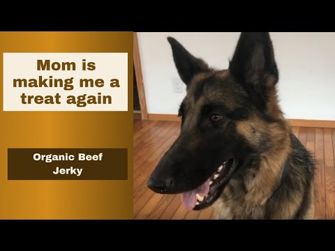 How to make Organic Beef Jerky