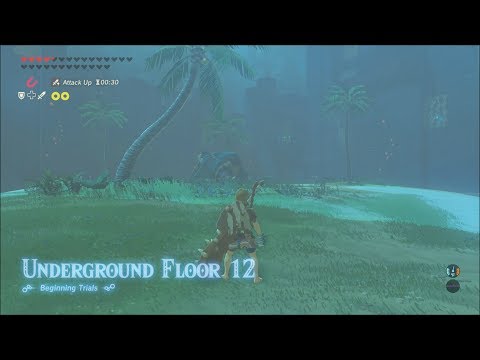 Breath of the Wild Trial of the Sword Beginning Trials Floor 12 Gameplay Walkthrough