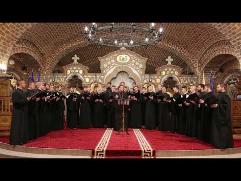 Apărătoare Doamnă - Grupul psaltic Theologos