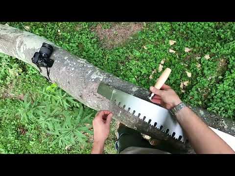 Lynx Crosscut saw Brief overview of handle and sharpening files