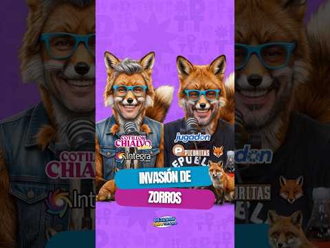 Los zorros deberían ser dueños de todo😅  #cordoba #humor