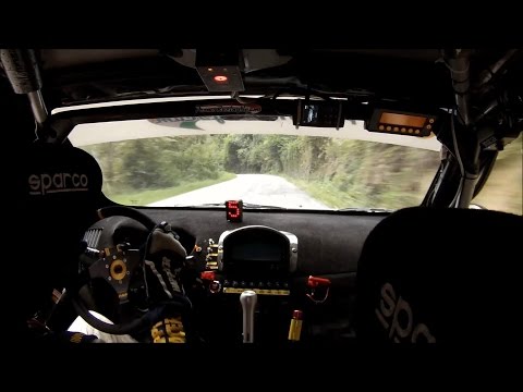 Cameracar Rally Valli Cuneesi 2015 - Chentre / Florean - Mitsubishi Lancer Evo X R4 - PS7 Valmala