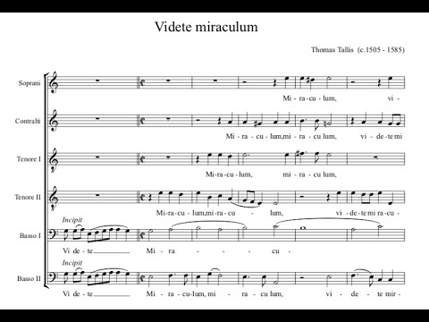 Thomas Tallis - Videte miraculum