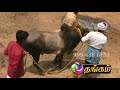 Manjuvirattu 2019 Part 7