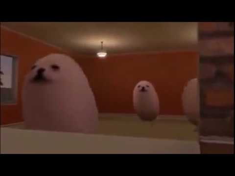 cat-eggs dancing for 5 hours