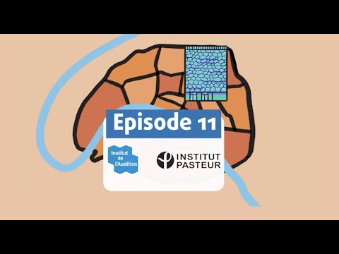 A "Neurotour de France" - Ep. 11: Institut de l'Audition