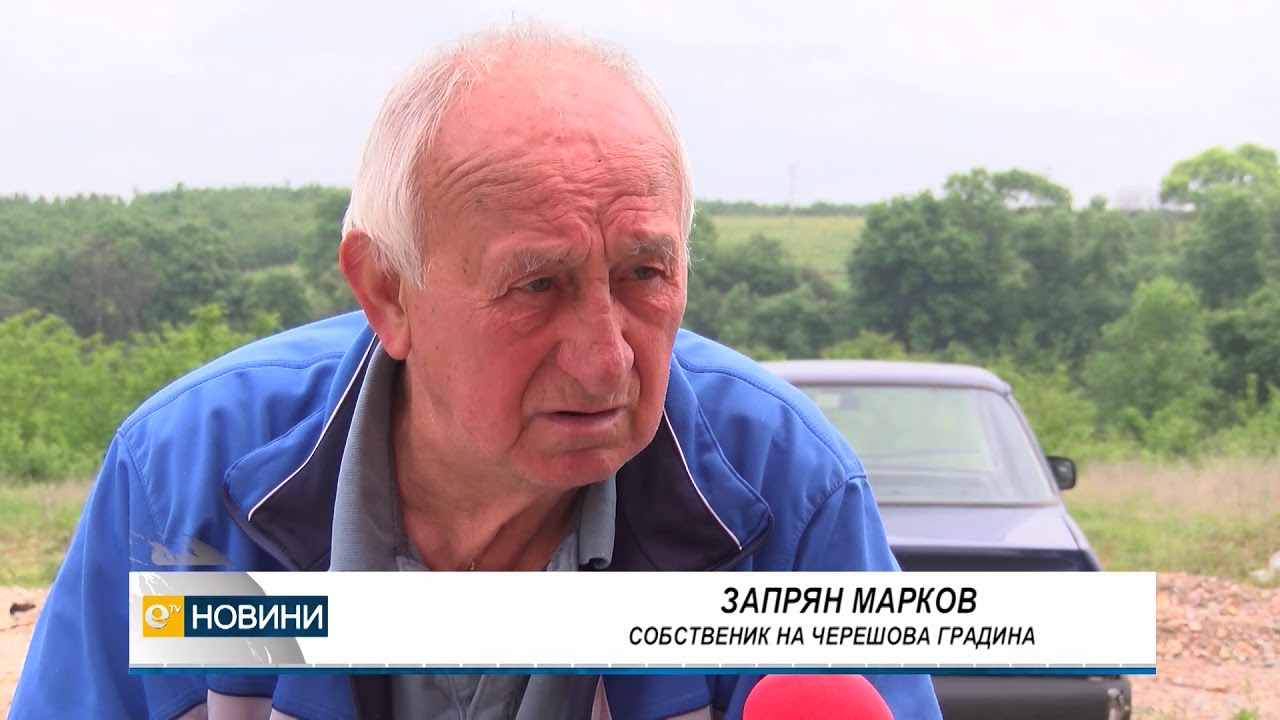 Дефицит на череши, заради неблагорпиятните климатични условия