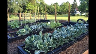 Border Timber Raised Garden Beds with Weed Mat video thumbnail 1