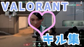 【VALORANT】ベータキル集 / シニカルナイトプラン【ゲーマー女子】