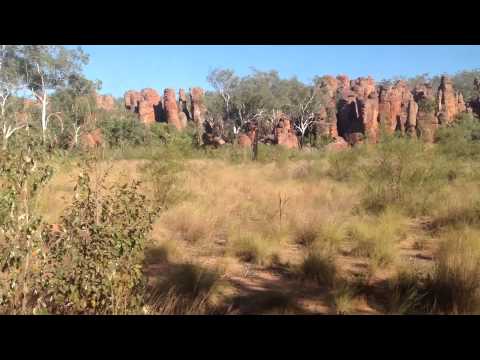 2015 Just 4 Kids Motortrail Croc Safari