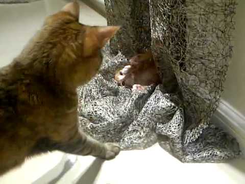 Agata y Jack   Day 2    Vid 1