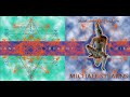 Michael Stearns- Sleeping Conches