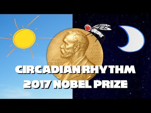2017 Nobel Prize for Circadian Rhythm Explained
