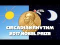 2017 Nobel Prize For Circadian Rhythm Explained