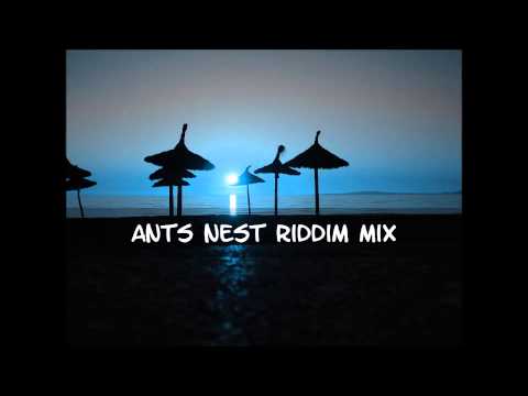 Ants Nest Riddim Mix 2013+tracks in the description