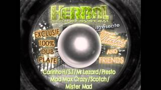 Mr Lezard, ST, Carinho H & Mister mad (Majestic, Jamrock & Warning Riddim) (Herbal Tape)