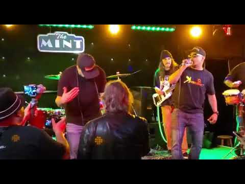 Krooked Treez feat Jackson Browne Somebodys Baby Reggae rendition