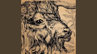 Willie Archer (On the Banks of The Bann)