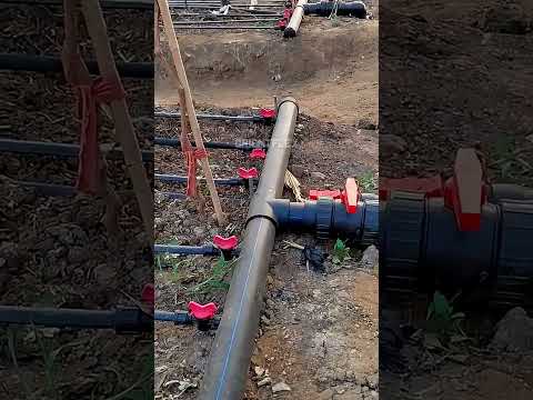 drip tape raised beds 16mm 20mm drip tape #shorts #relaxing #water #green #plants