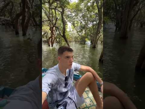 🐊 Janko ovde – živi krokodil pred kamerom!