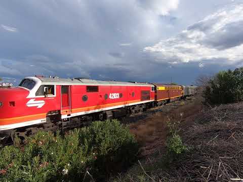 42103 & 4204 "Riverina Rail Tour" at Parkes NSW.  Sat 13th Mar 2021
