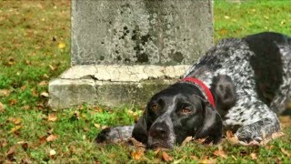 Miriam Maria Santucci - LA MEMORIA DEL CUORE