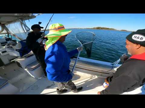 BLACKFISH FISHING TRIP  City Island Bronx NY 11/02/2025