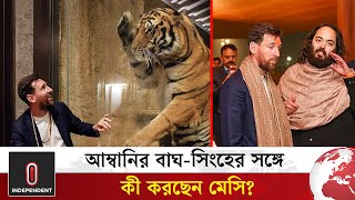 Download lagu আম্বানির চিড়িয়াখানায় মেসির সঙ্গে অদ্ভুত কাণ্ড | Messi with tiger | Ambani Zoo | Independent TV mp3 Download lagu আম্বানির চিড়িয়াখানায় মেসির সঙ্গে অদ্ভুত কাণ্ড | Messi with tiger | Ambani Zoo | Independent TV mp3