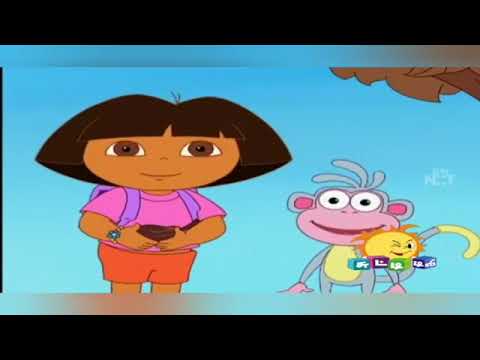 chocolate tree doravin payanagl