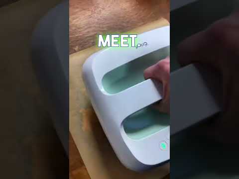 Creating the Cutest Pixel Art of Eevee and Leafeon with Perler Beads Part 2!