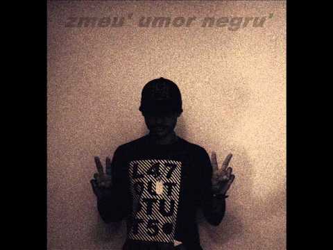 09 zmeu' ninja' - simfonie venețiană(umor negru')