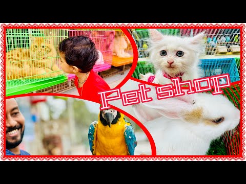 Pet shop 😍🦜🐰😘ಗಿಳಿ, parrots, ವಾವ್ ಸೂಪರ್😍##youtube videos## jashvi clips🌈Salalah