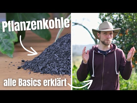 What is biochar? Ancient knowledge rediscovered for the garden 🔥