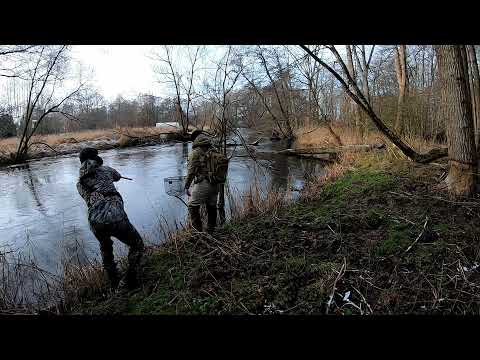 Słupia - Troć #1 / Seatrouts Slupia River 2022