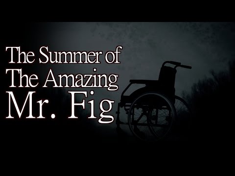 Mr Fig Book