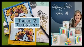 Class 5 -Take 2 Tuesday Class Featuring New Sizzix Releases & New Jacquard Inks both by Stacey Park