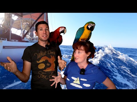 What to do in a STORM at Sea | Sailing Wisdom