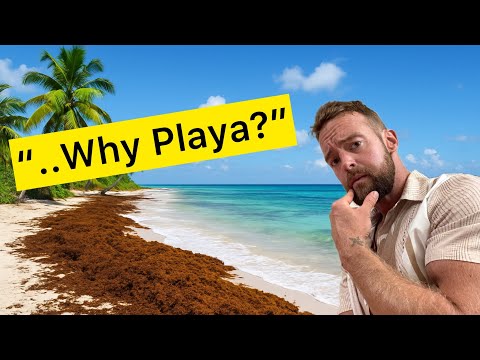 Why I Chose Playa Del Carmen and Why I STAYED!Pros and Cons — TheRopeMonster