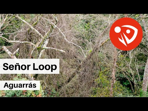 download lagu mp3 mp4 Aguarras, download lagu Aguarras gratis, unduh video klip Aguarras