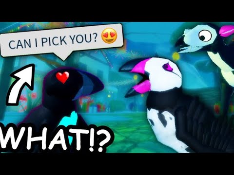 THEY TRIED TO KISS ME? on Feather Family Roblox