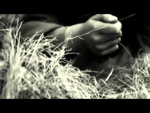 Lied Am Feuer - Darkwood