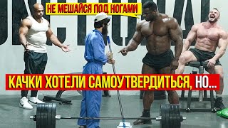 Качки хотели САМОУТВЕРДИТЬСЯ, НО... | ANATOLY Gym Prank