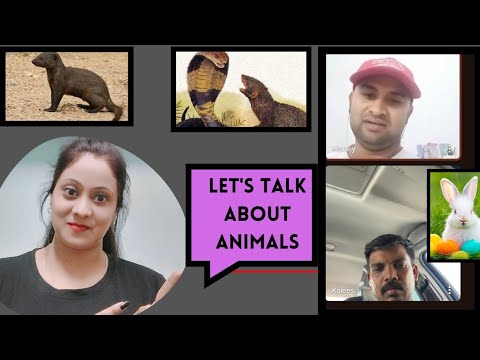 Let's talk about animals .Amazing conversation |Practice speaking English| english conversation.