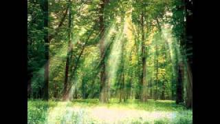 Hold me Close (Twila Paris)