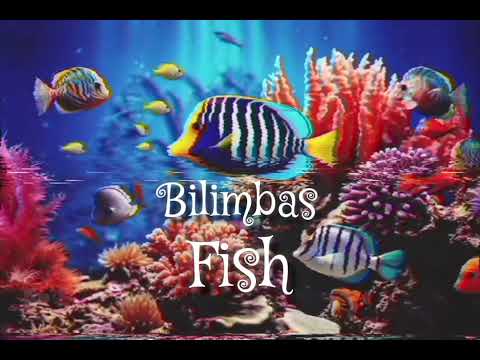 BILIMBAO - FISH (2025)