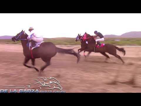 FINAL MATURITY 2018 GANA LA CHAMACA 350 YDS CARRIL MI CAPRICHO ANTHONY NUEVO MEXICO 9 DE JUNIO DEL 2