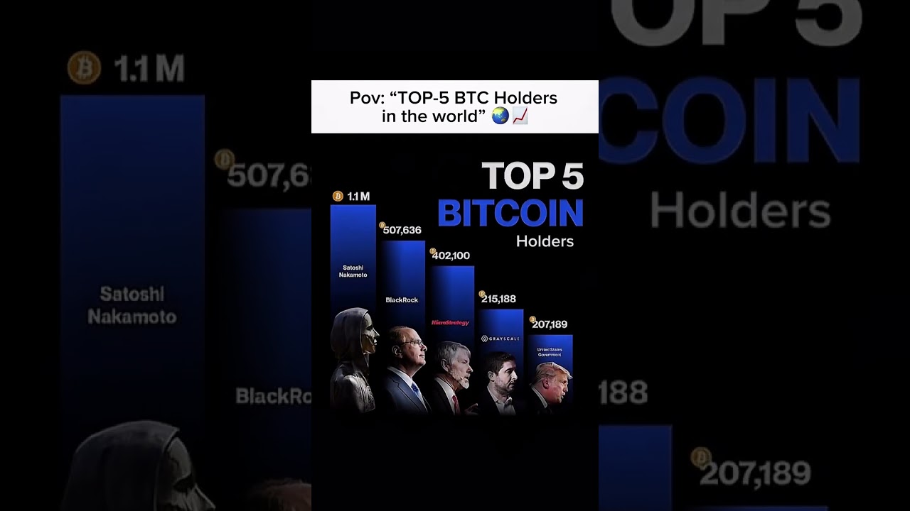 Top 5 Bitcoin Holders in the World 🌍💰 | Satoshi Nakamoto to US Government 💸.