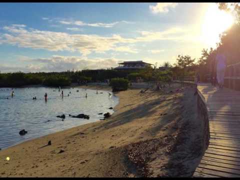 Lava Heron Galapagos Apartment - Puerto Ayora - Ecuador
