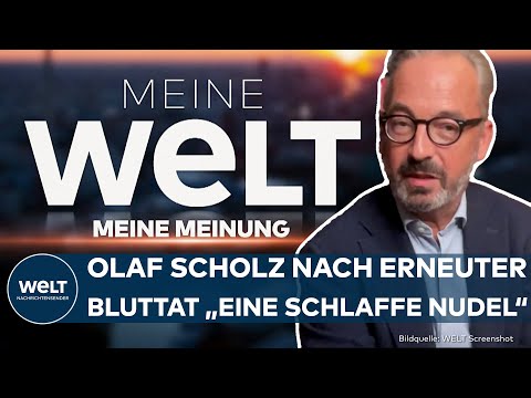 ASCHAFFENBURG: "Bei Scholz kein Verantwortungsbewusstsein, sondern eine schlaffe Nudel" | MEINUNG